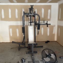 Complete Workout Station (wilson 3 Station)