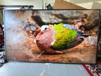 98" Samsung QM98T-B 4K UHD LED Signage Display QM98T-B