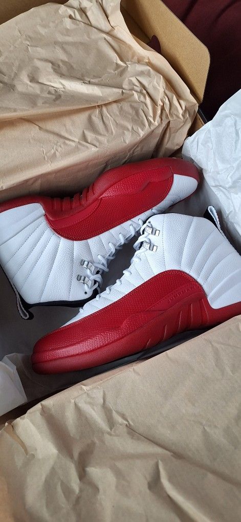 Jordan Cherry Red Jordan 12