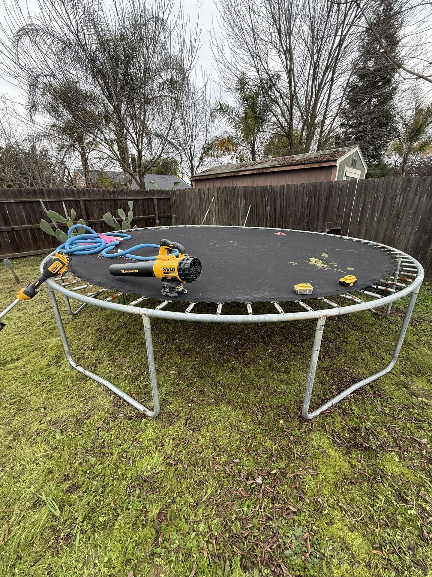 Trampoline