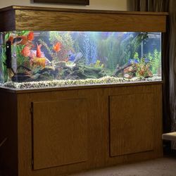100 Gallon Acrylic TrueView Aquarium with cabinet, cover,  and accessories.