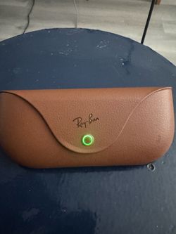 Ray-Ban META wayferer case