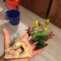 Aquarium Decorations