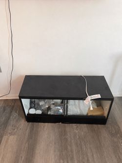 Reptile tank setup