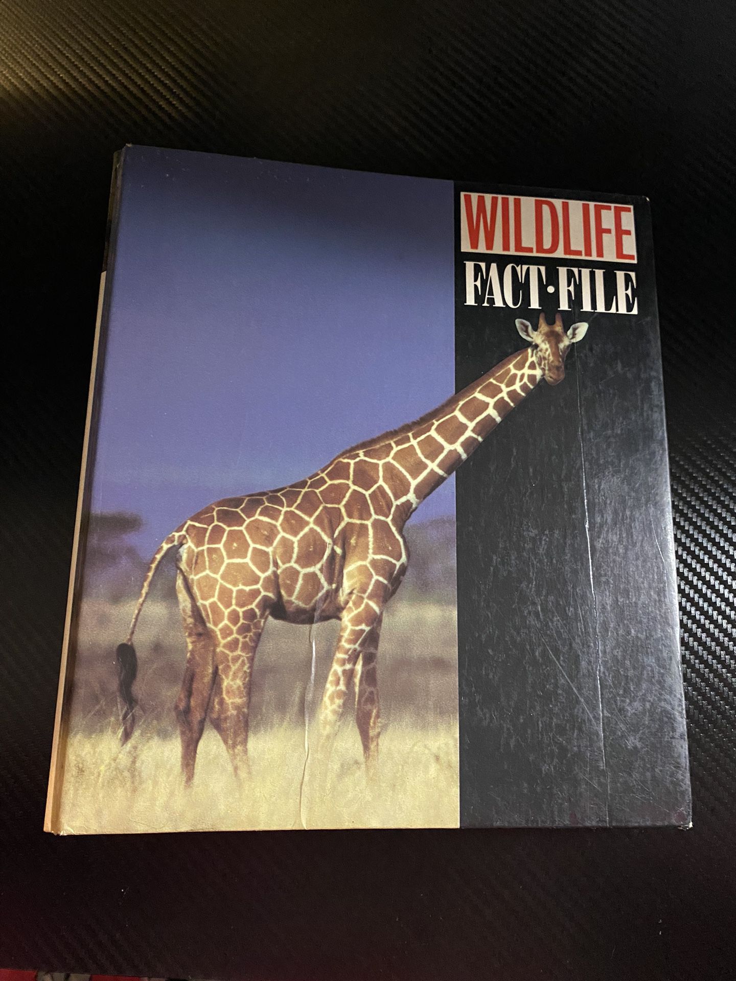 Wildlife Fact File Book