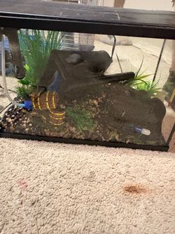 fish tank