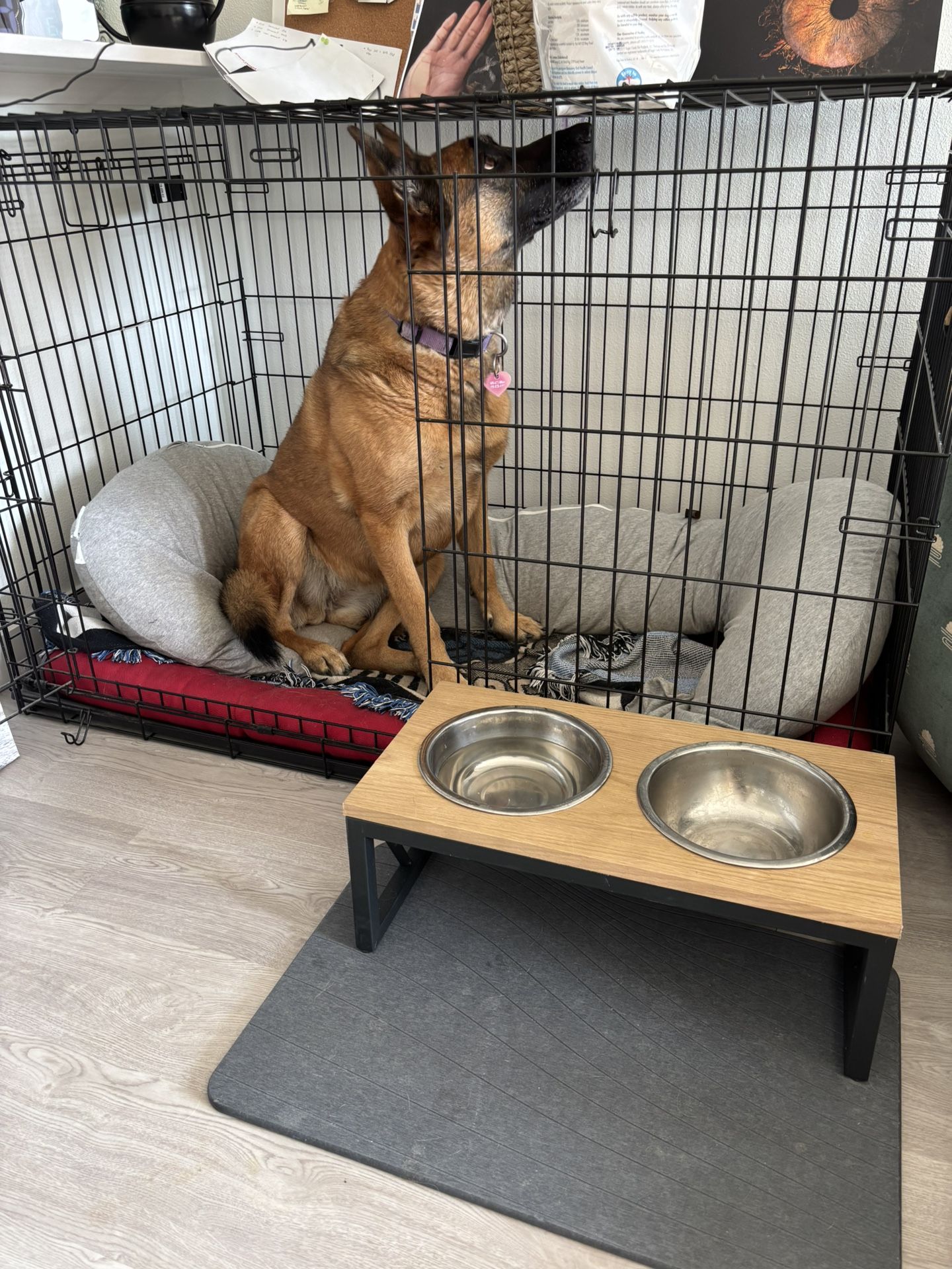 Extra Large Dog Cage