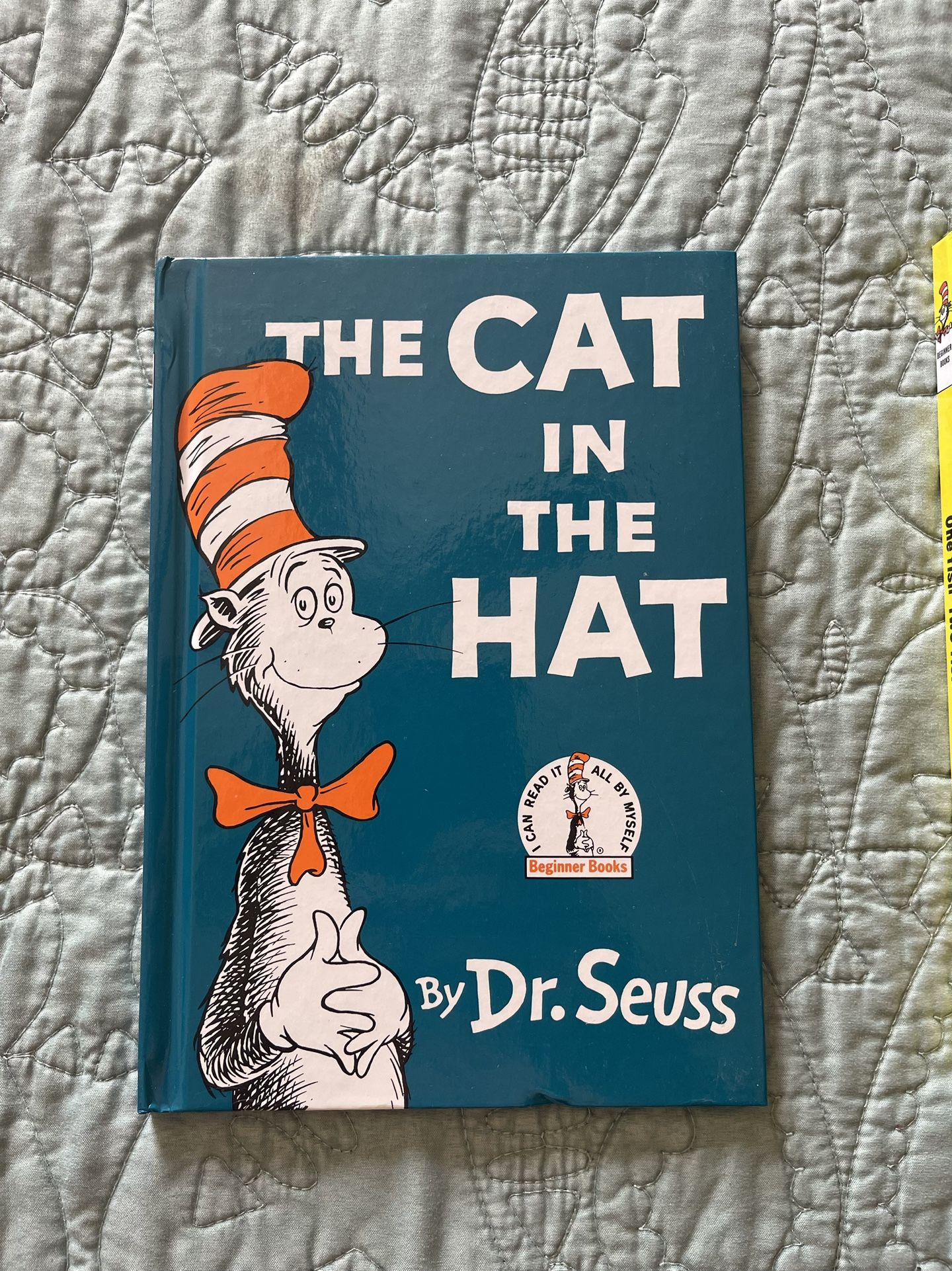 Dr Seuss  Kids Books 24