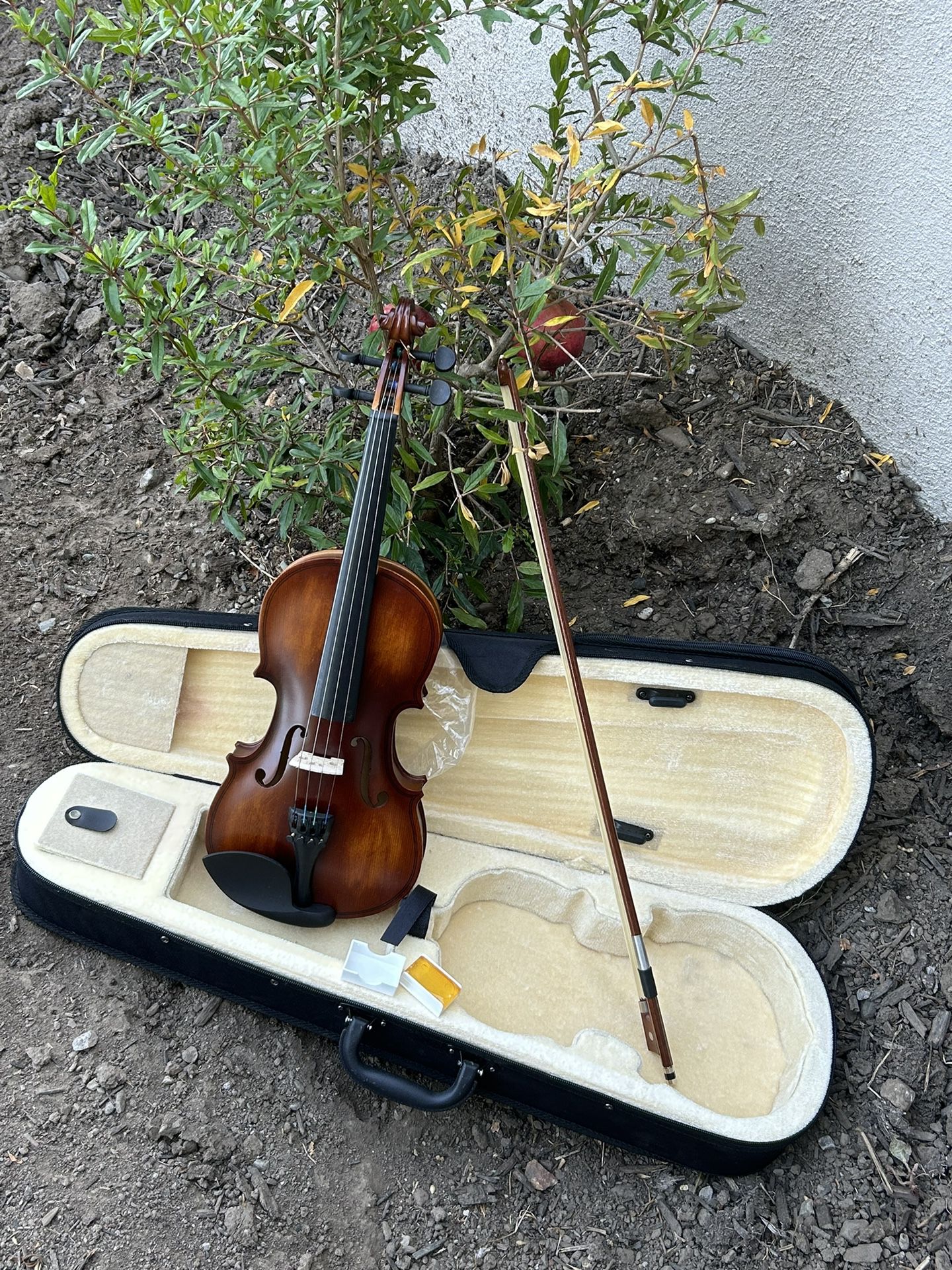 1/2 Violin Set Half Size Fiddle EVA-3 Matte + Hard Case Shoulder Rest