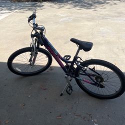 Schwinn Ranger Bike Girls 24”