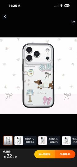 iPhone 16 pro max case