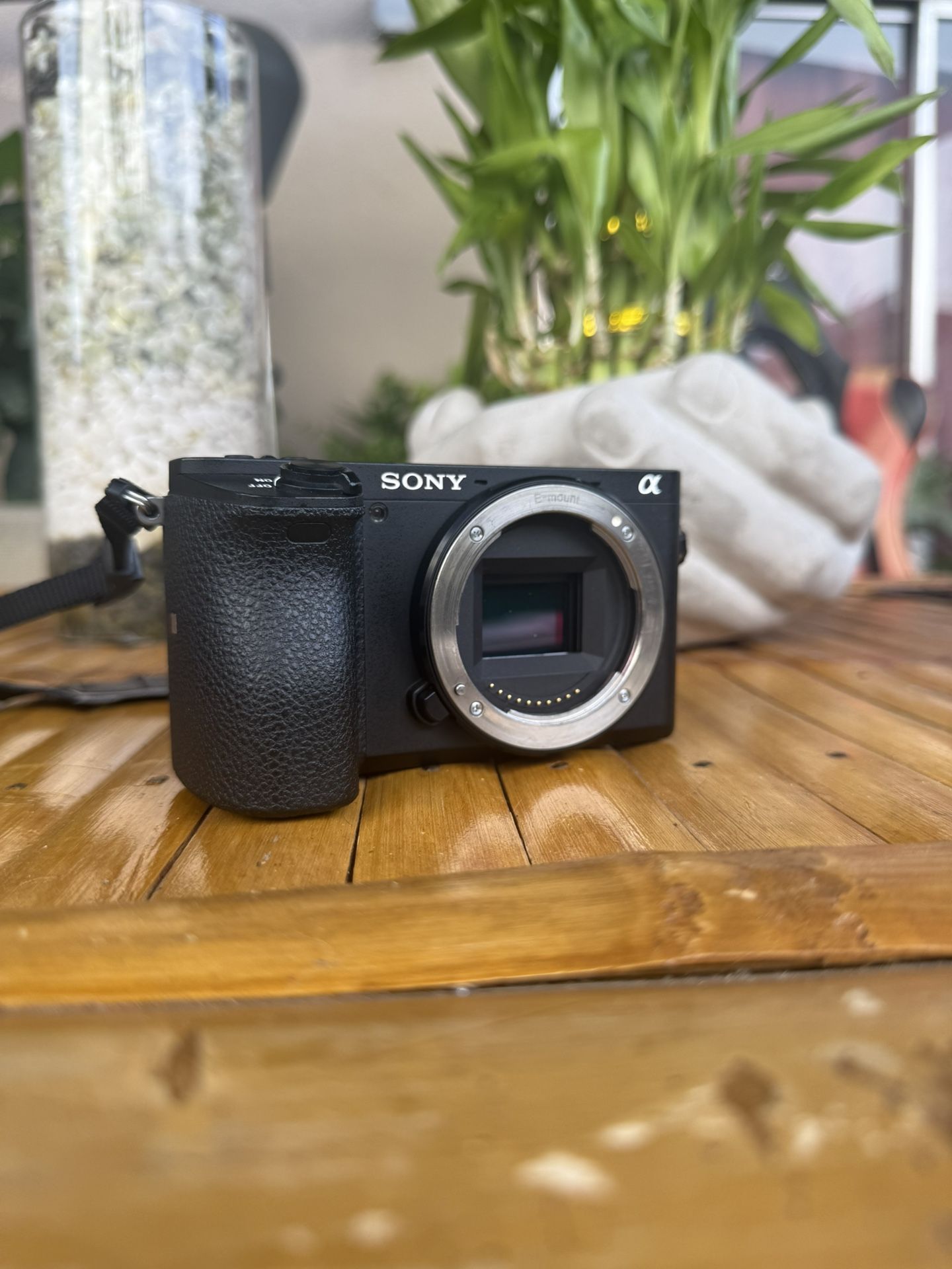Sony 6500 Camera