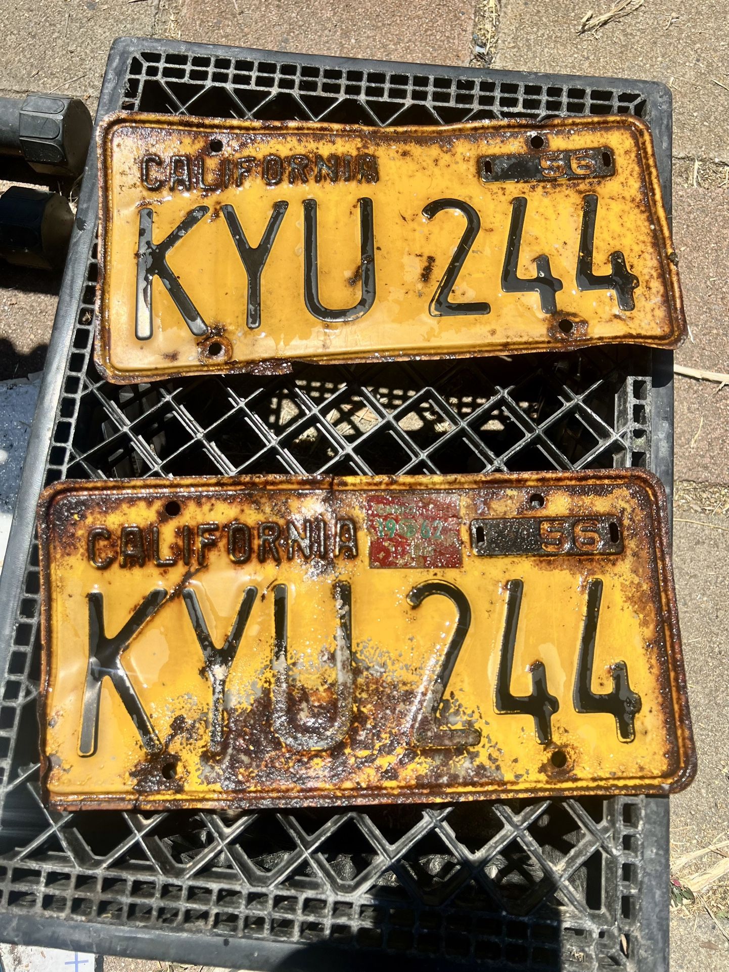 Yellow And Black Cali Plates