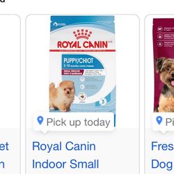 Dog Food ***