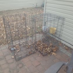2 Medium Size Dog Crates 