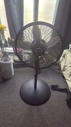 Standing Lasko Fan