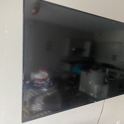 65 inch Tv with swing mount