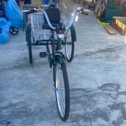 adult tricycle