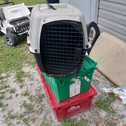 SMALL   DOG  OR  CAT  CARRING 