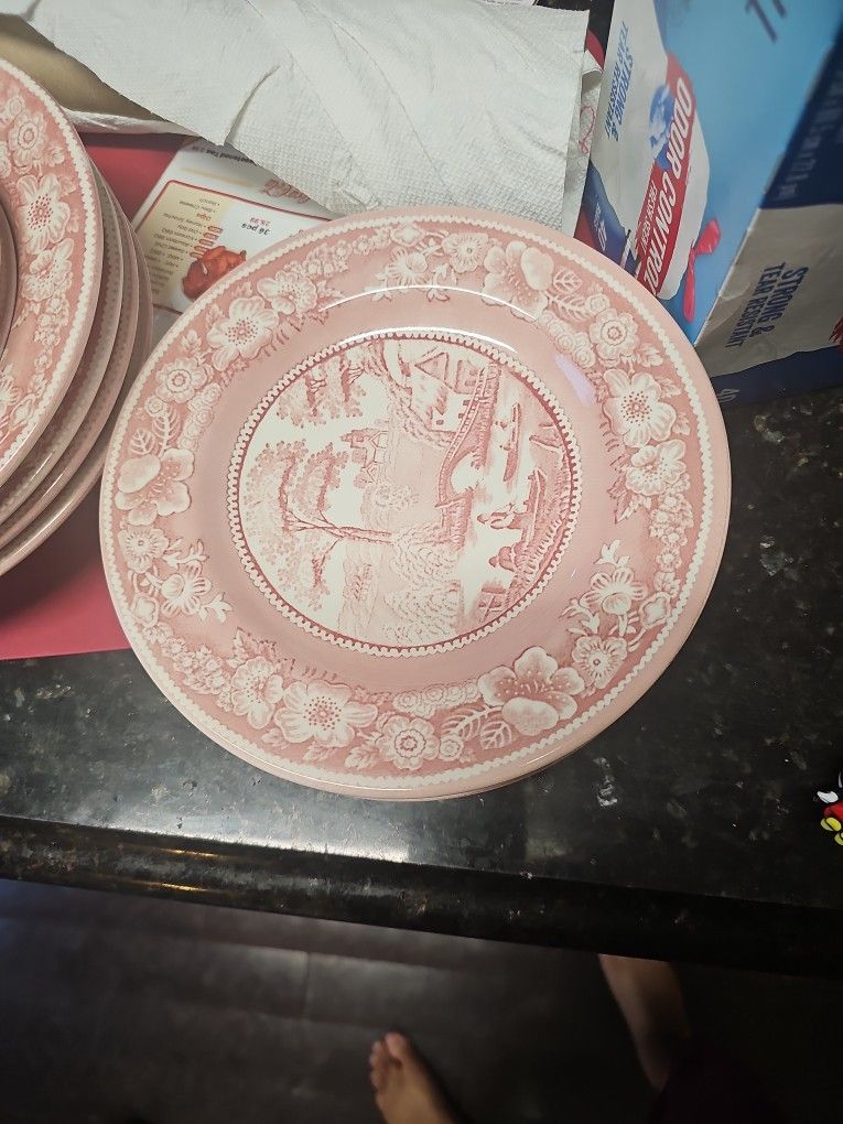 Stafford Shire Engraving Wild Rose  China