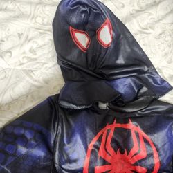 Spiderman Custom