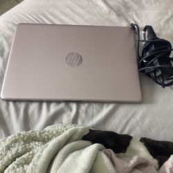 Rose Gold Hp Laptop 