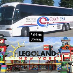 3 Bus Tickets 