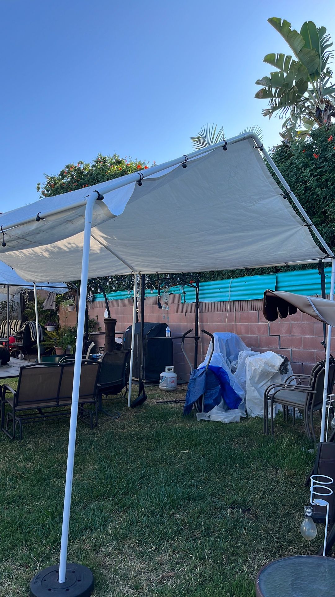 10x20 Canopy