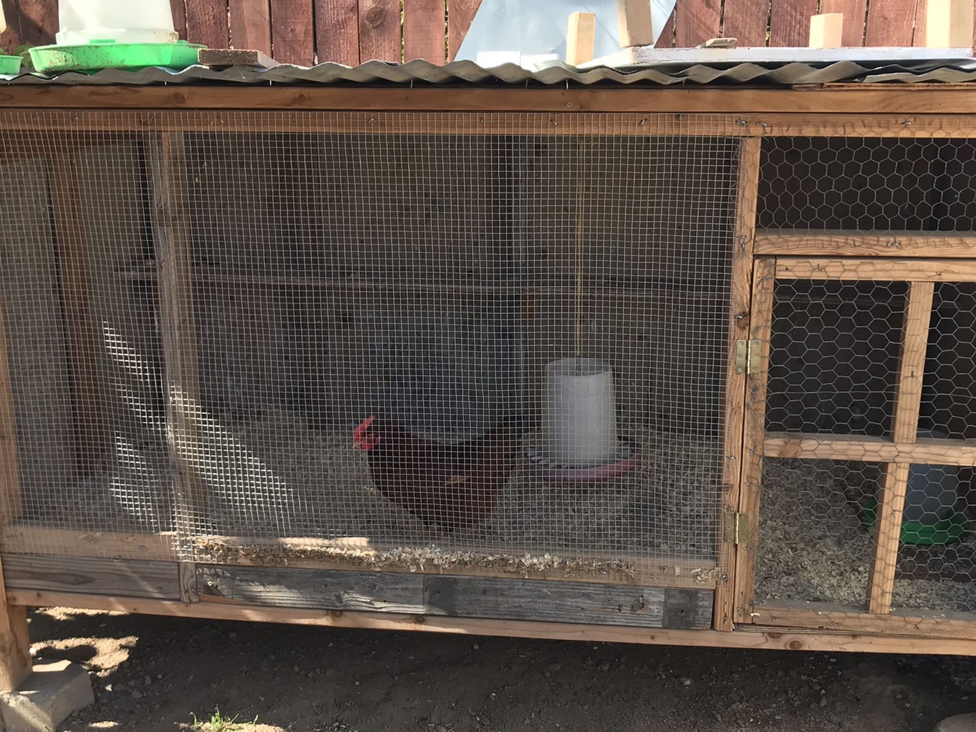 Chicken Coop