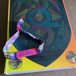 EDC GA+ $600 [Ticket Only]