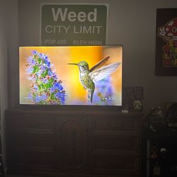 TCL 55” Smart TV (Google Tv Built In) 