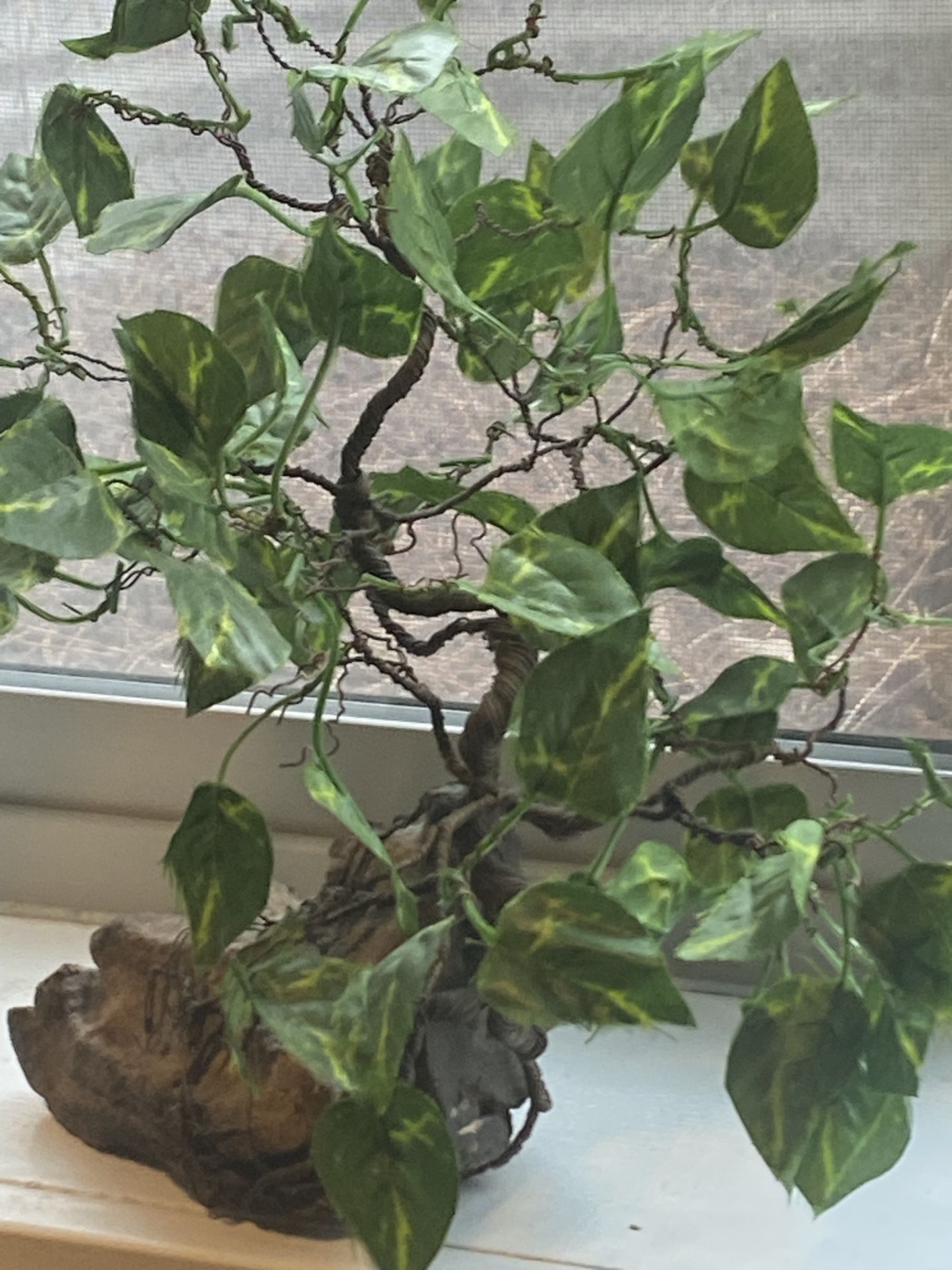 Copper Tree