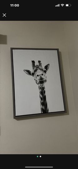 Nursery Safari Frames 