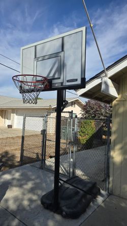 Lifetime Basketball Hoop Adjustable