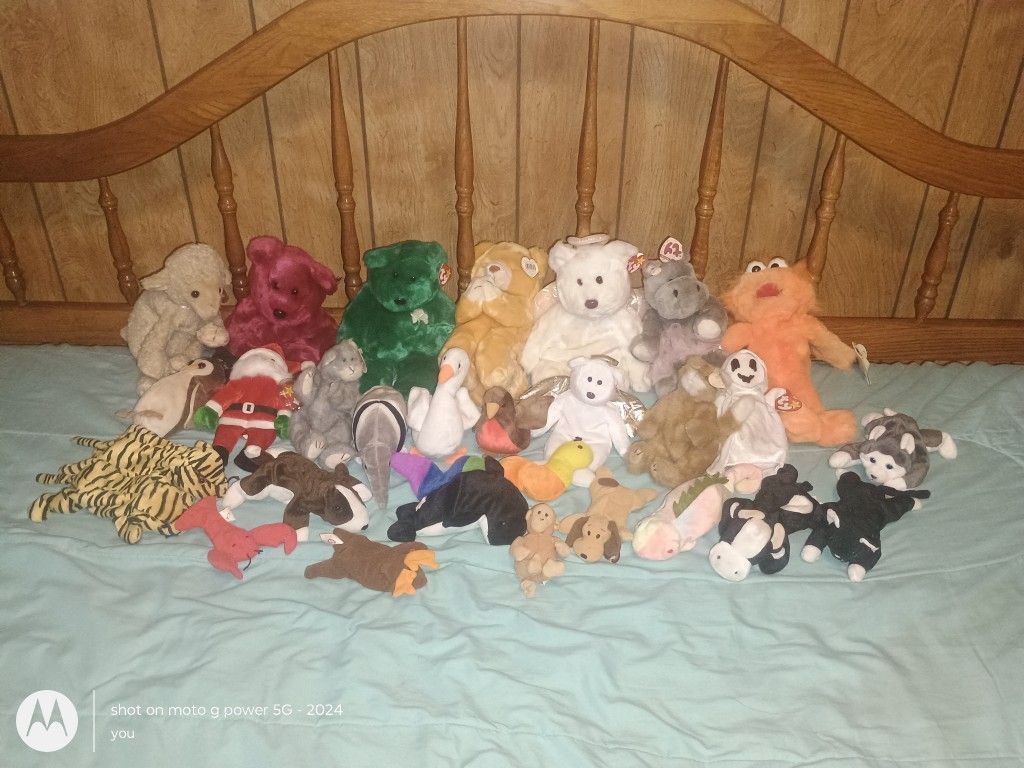 Stuffed Animals