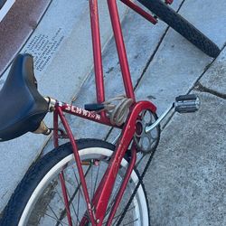 Schwinn Cruiser 