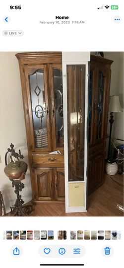 Standard doggy door 81 inch high $95