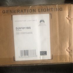 Generation Lighting 