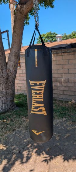 100 lb. Everlast punching bag