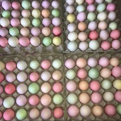 Easter Confetti Eggs 