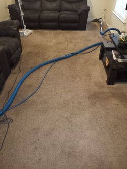 Clean Your Carpet 