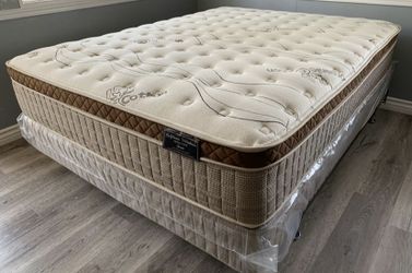 Queen Organic Cloud Edition Europillow Top 12inch Matres Andboxspring!!