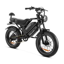 2025 NEW HappyRun G70 2000W Dual Battery Fast Electric Cargo Bike