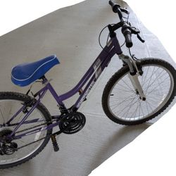 Roadmaster Bike is Available At Low Price 