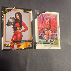 2022 Mandy Rose Card Lot