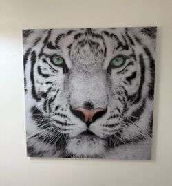 Wall art