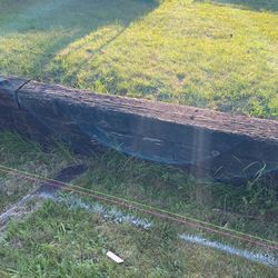 Strong Wood