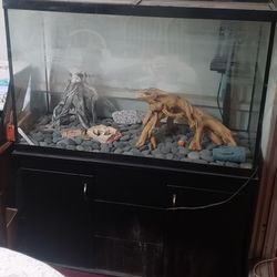 Fish Tank