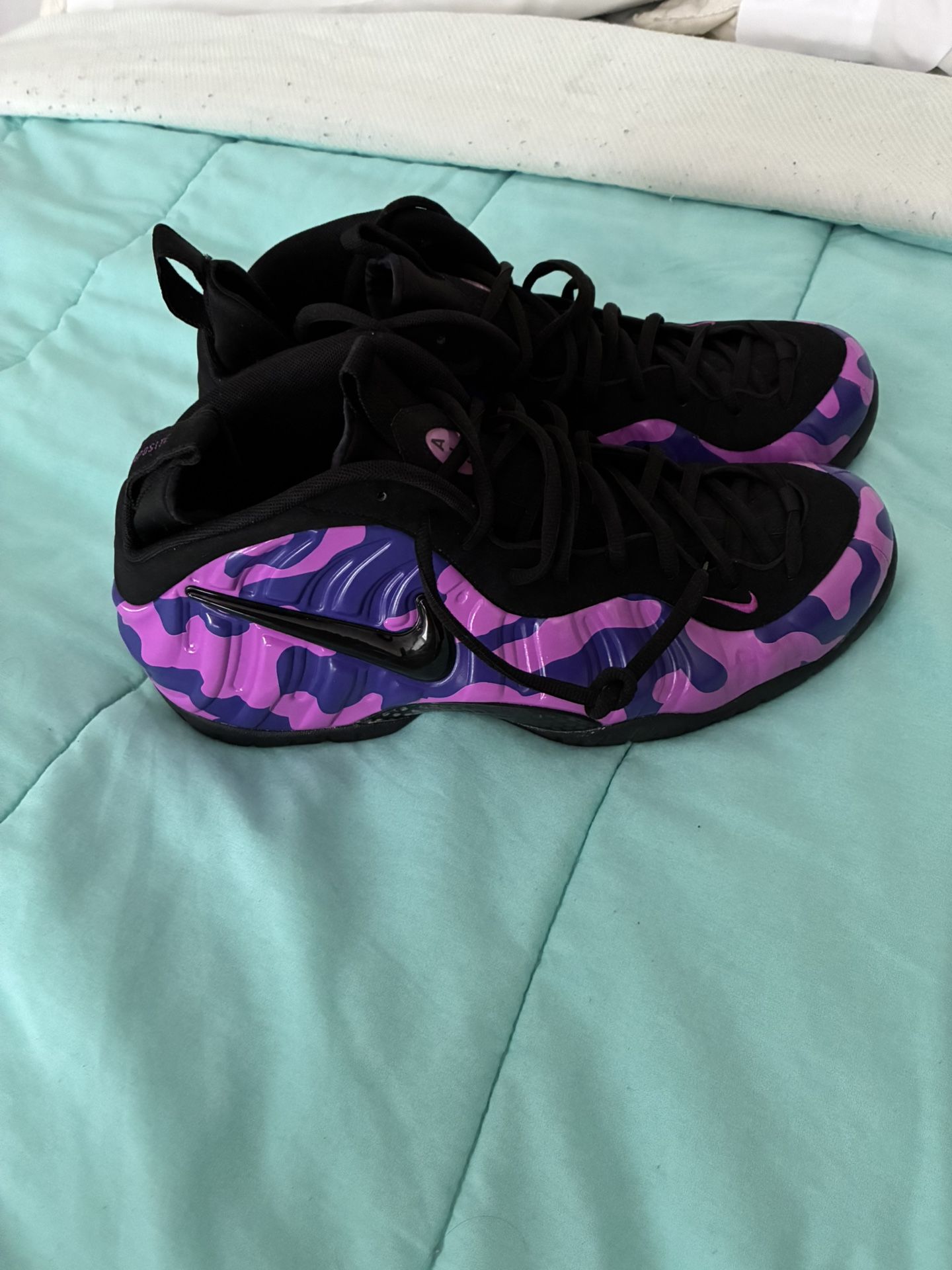 Men Foamposite Size 15 (brand New ).!!