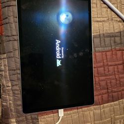 Samsung S10+/STYLUS PEN